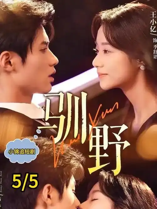 蜜桃在线观看 山海归途 剧集封面